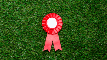 We Won The ‘Best Landscaper Company’ Award