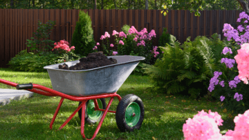 Job: Fulltime (+50 hours per week) Landscapers