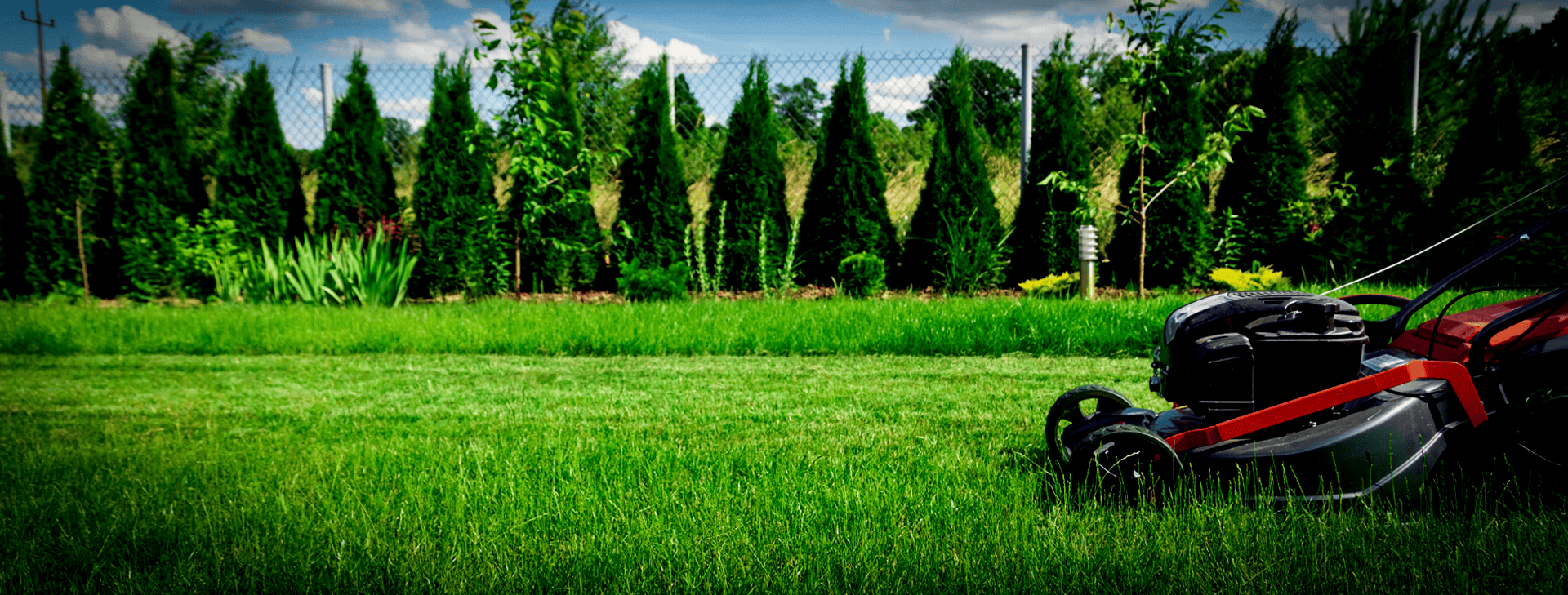 The grass is always greener on
your side of the fence