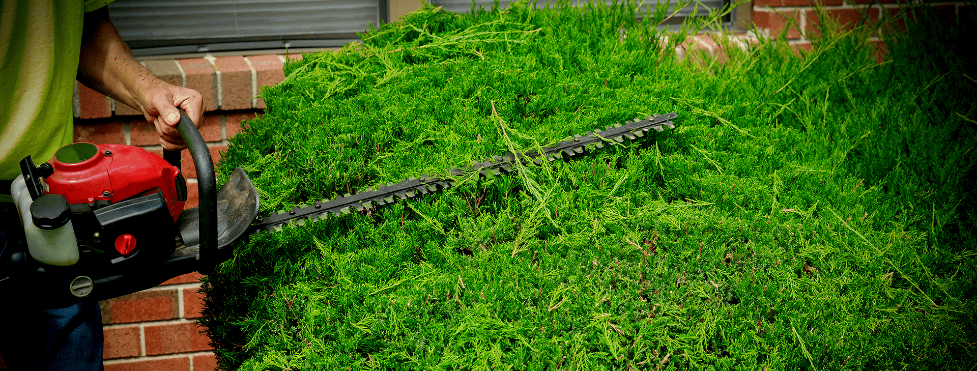 We provide landscaping
services since 2010